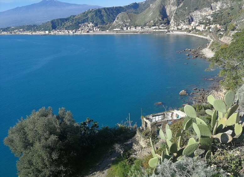 Picture 5 for Activity From Catania: Etna & Taormina Day Trip