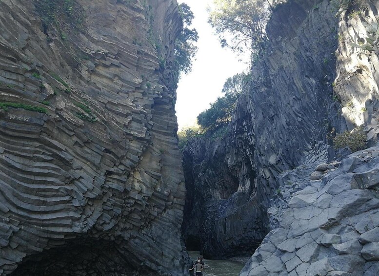 Picture 5 for Activity Catania: Mount Etna and Alcantara River Guided Tour