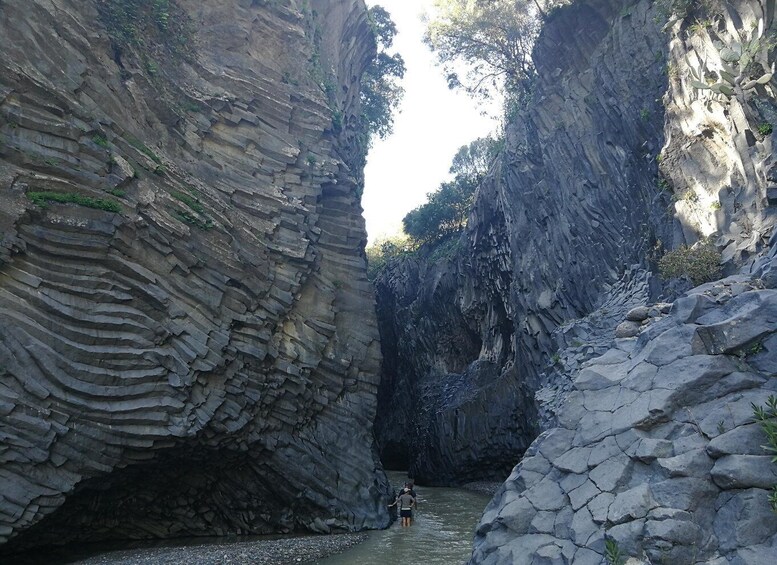 Picture 5 for Activity Catania: Mount Etna and Alcantara River Guided Tour