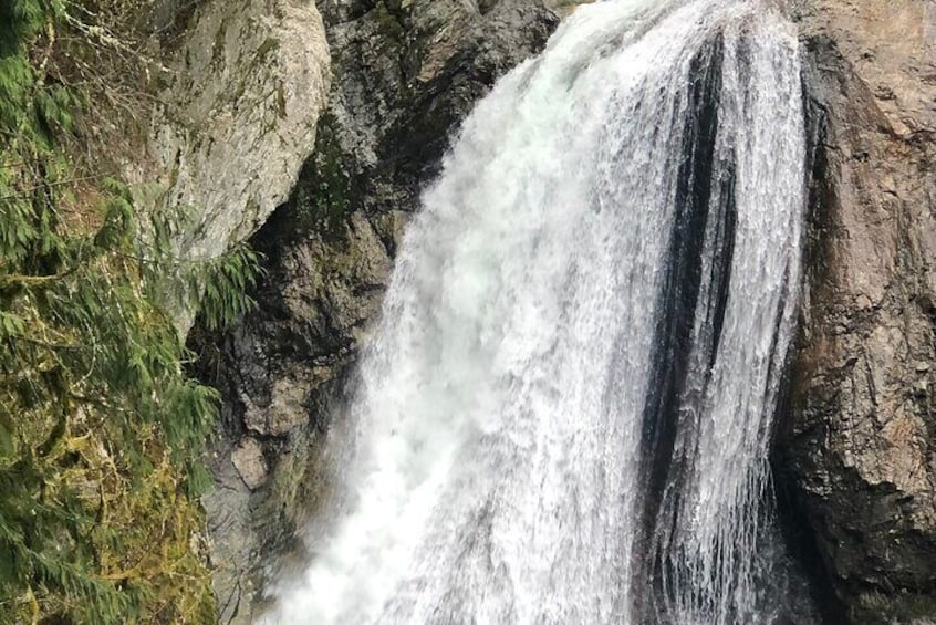 Seattle Waterfall Experience