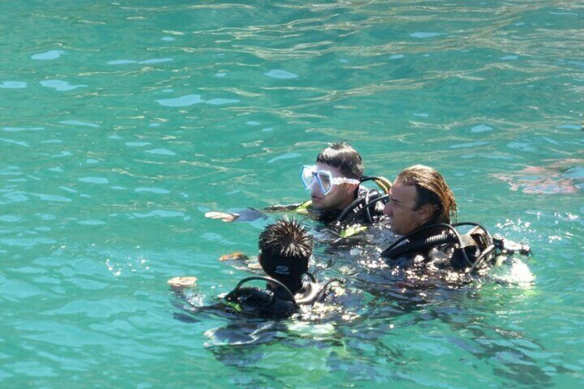 Rio's Best Dive Experience All Inclusive Scuba Diving Package!