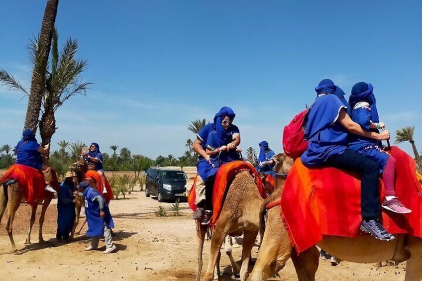 Camel Ride in the Palm Grove of Marrakech