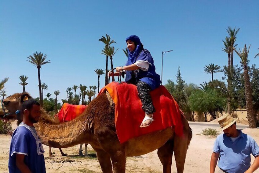 Camel Ride in the Palm Grove of Marrakech