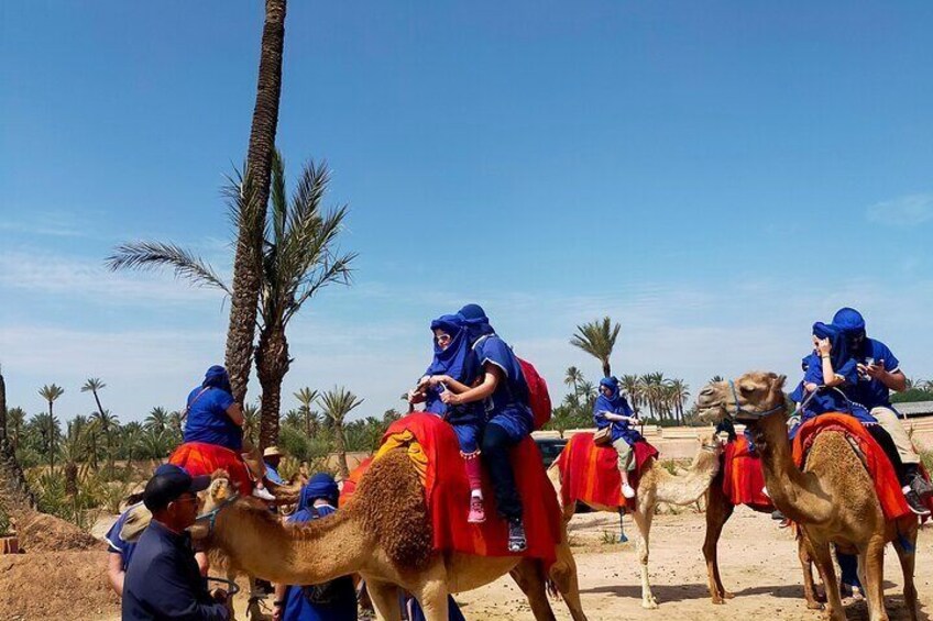 Camel Ride in the Palm Grove of Marrakech