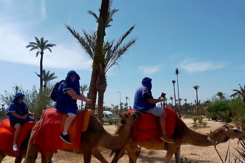 Camel Ride in the Palm Grove of Marrakech