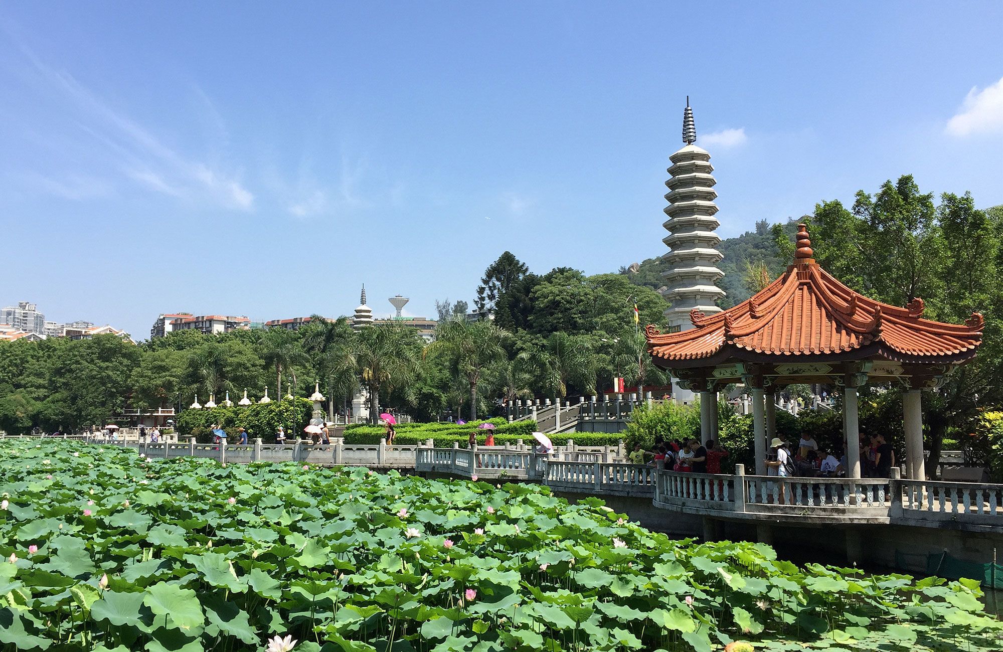 tour guide xiamen