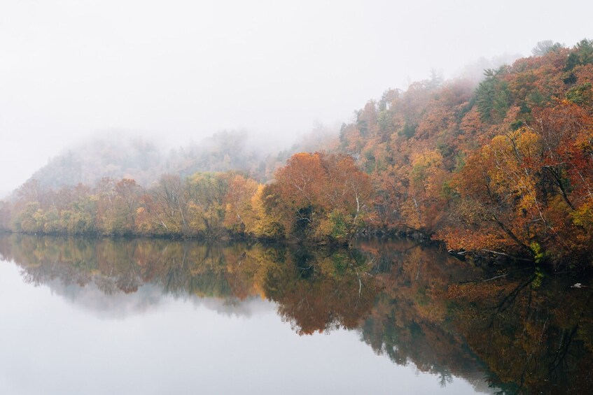 Blue Ridge Parkway Tour: Self-Guided Drive