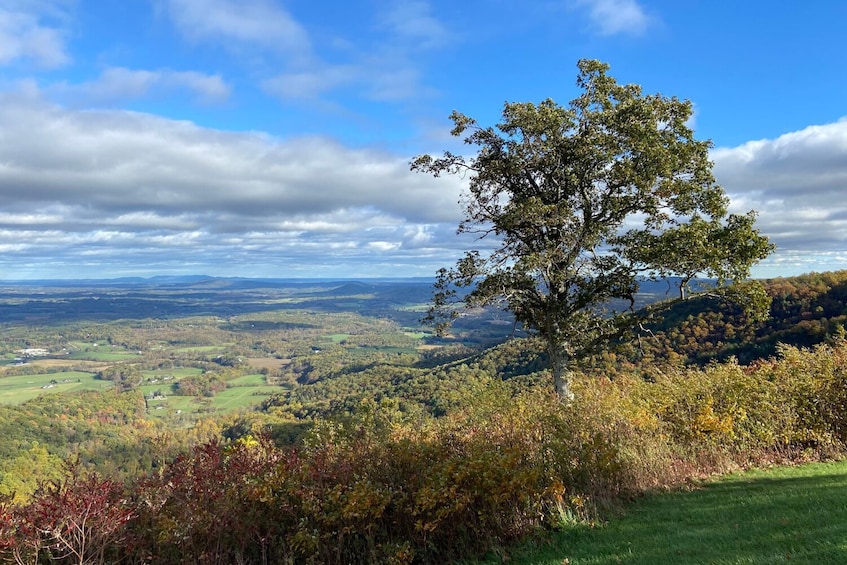 Blue Ridge Parkway Tour: Self-Guided Drive