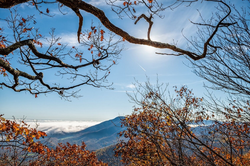 Blue Ridge Parkway Tour: Self-Guided Drive