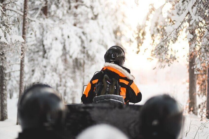 Guide leading the group into the forest