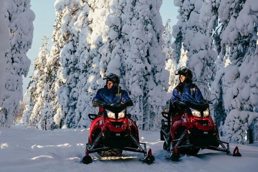 Snowmobiling Through the Arctic Circle Forest