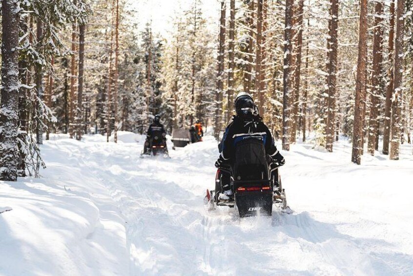 Snowmobiling Through the Arctic Circle Forest