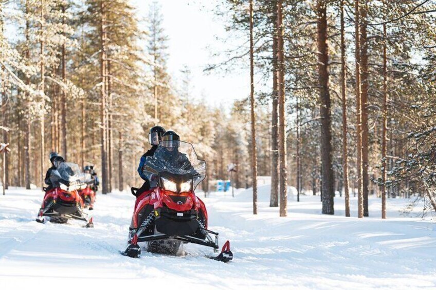 Snowmobiling through the forest