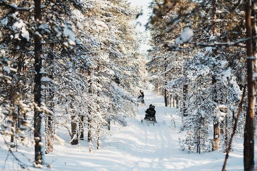 Snowmobiling through the Arctic Circle Forest