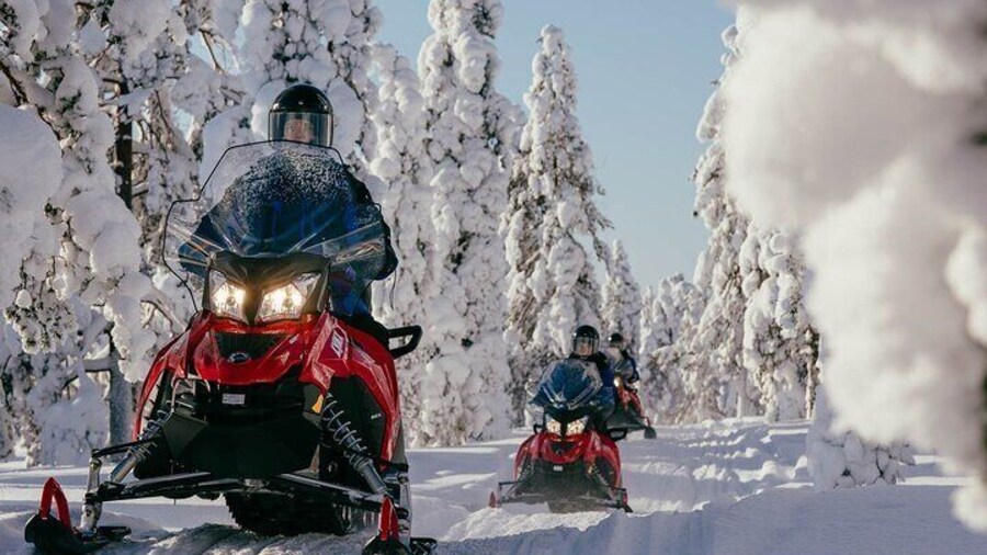 Driving through the frozen forest