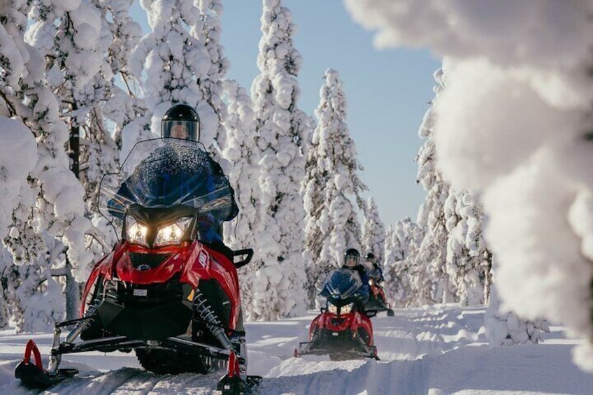 Driving through the frozen forest