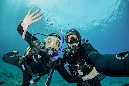 Guided Scuba Diving for beginners without licence from Sorrento (5 hours)