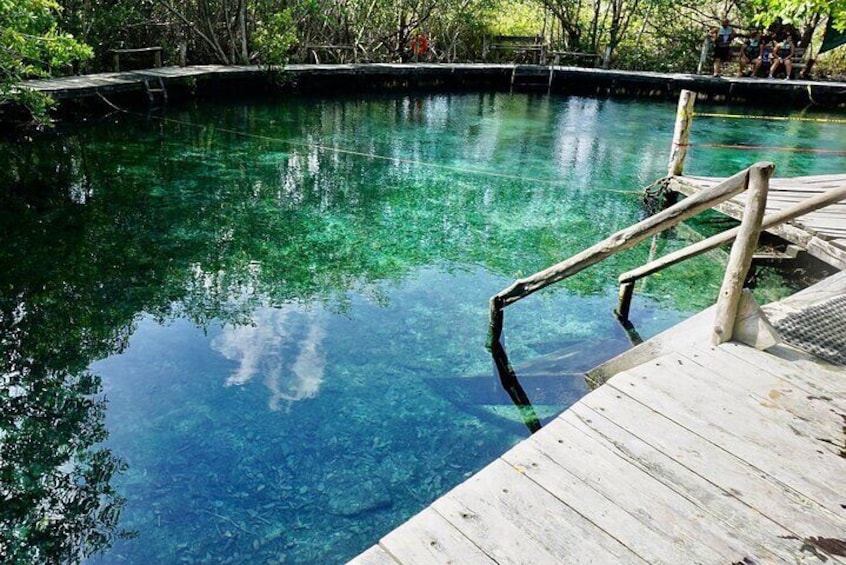 Boat tour in Holbox and its cenote