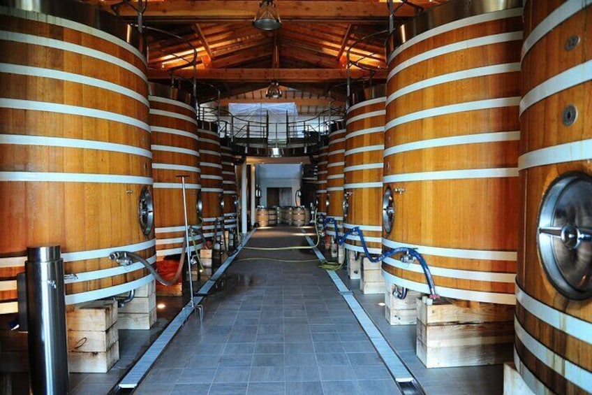 Private Tour on the Route des Grands Vins du Médoc with Visits and Tastings