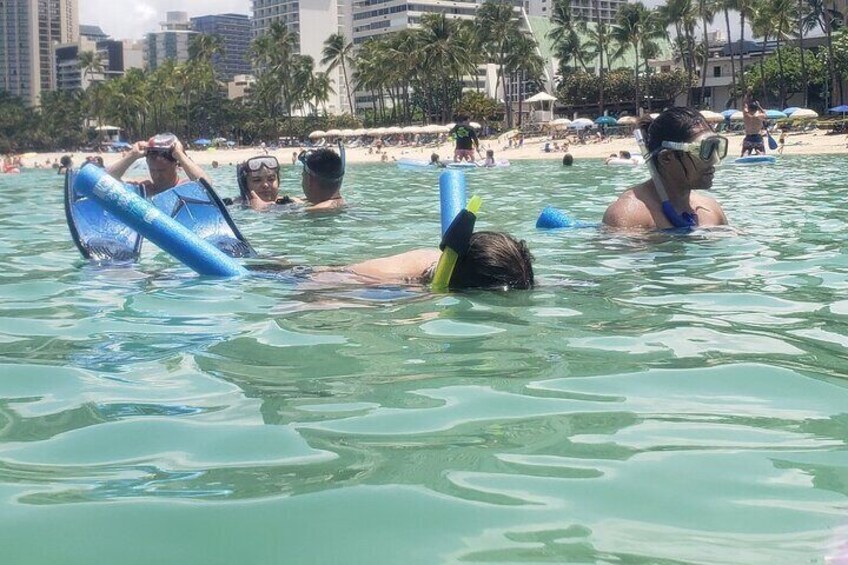 Waikiki Snorkeling. Free Pictures and Video! Shallow