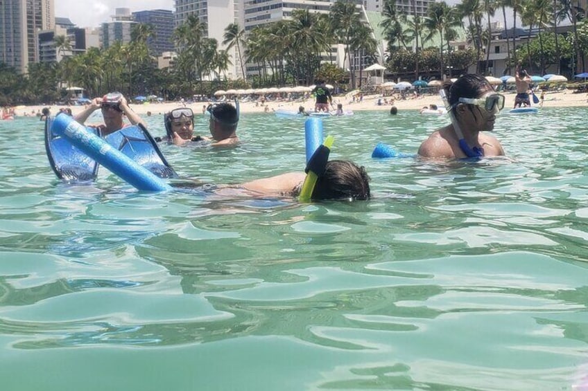 Waikiki Snorkeling. Free Pictures and Video! Shallow