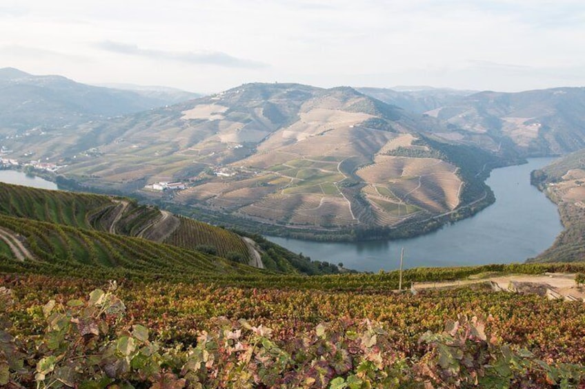 Douro landscape