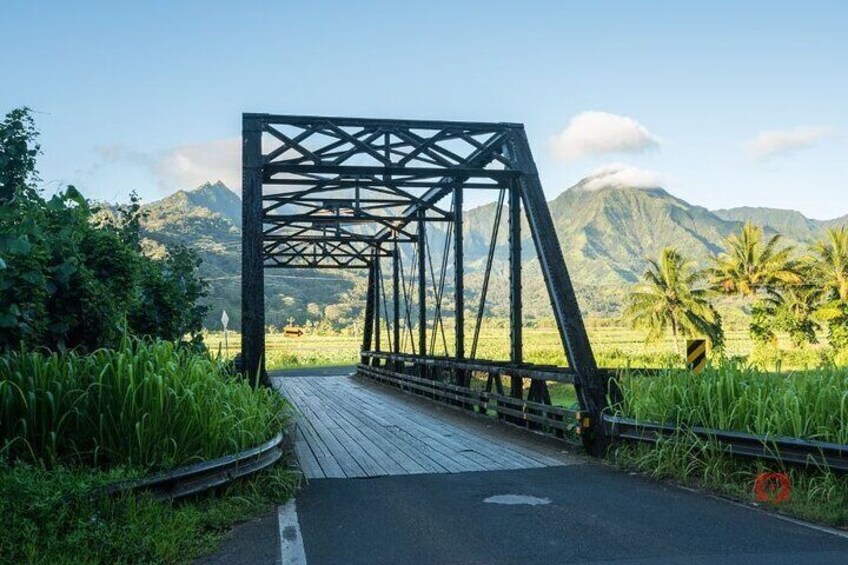 Kauai Audio Driving Private Tour