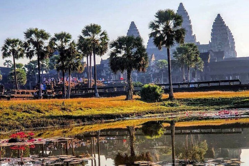 Angkor Wat temple in the early morning