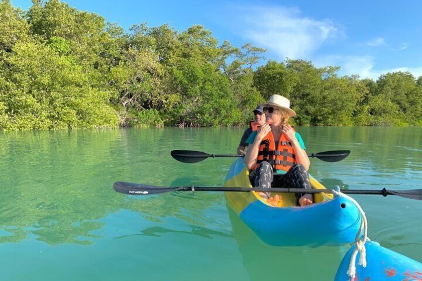 Tour the Mangroves in Kayak by Isla Holbox
