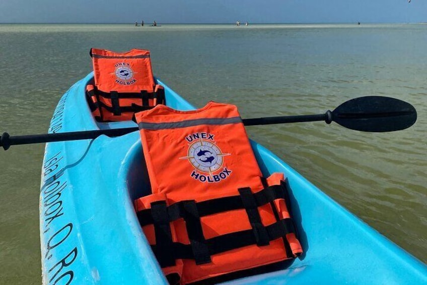 Tour the Mangroves in Kayak by Isla Holbox