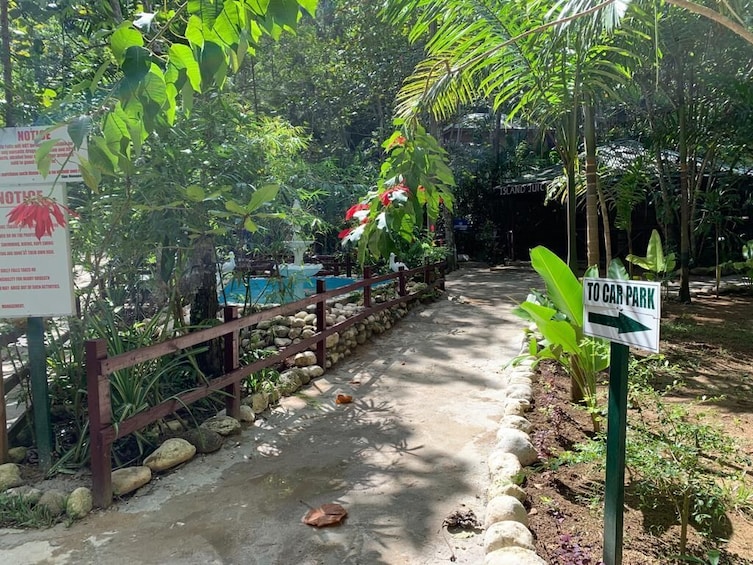 Blue Hole & Dunn's River Falls Combo Tour with Lunch