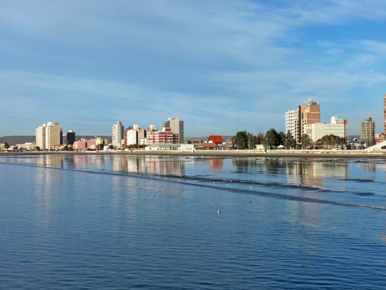 Puerto Madryn, City in Argentina
