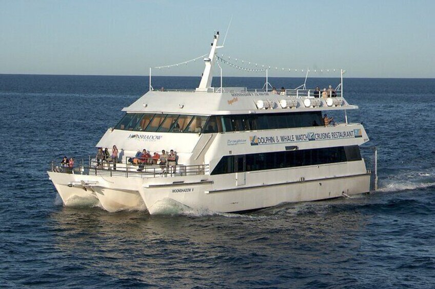 Whale watching cruise