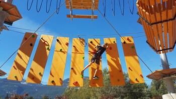 2 Hour Aerial Adventure Park Session