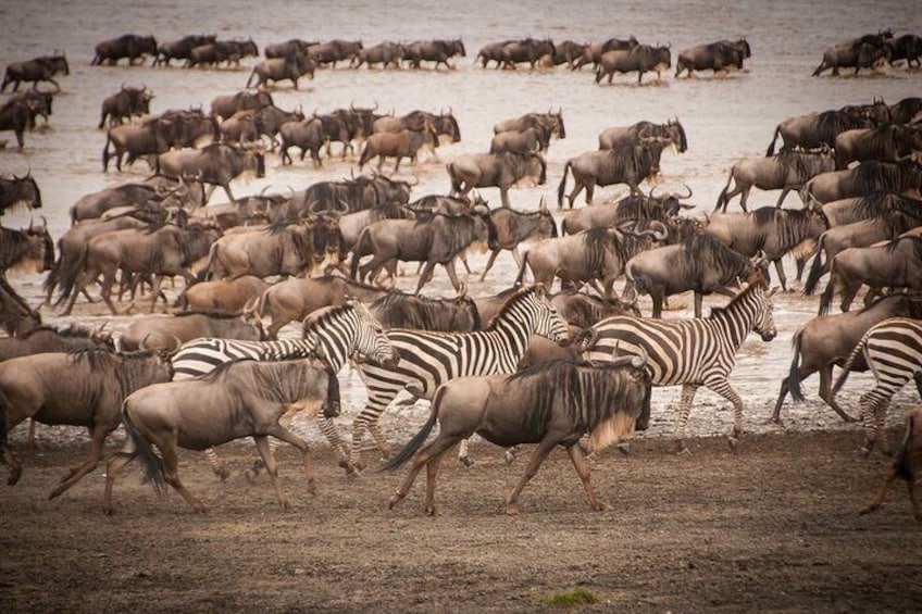 4 Days Tsavo West, Amboseli and Tsavo East National Park Safari