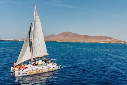 Luxury Private Half-Day Catamaran Charter in Lanzarote