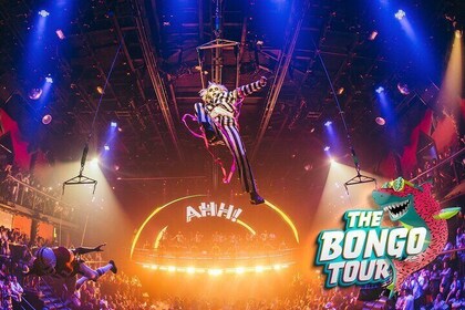 The Bongo Tour