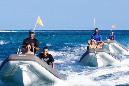 Be your own captain! Mini Boat Private Tours in Fajardo