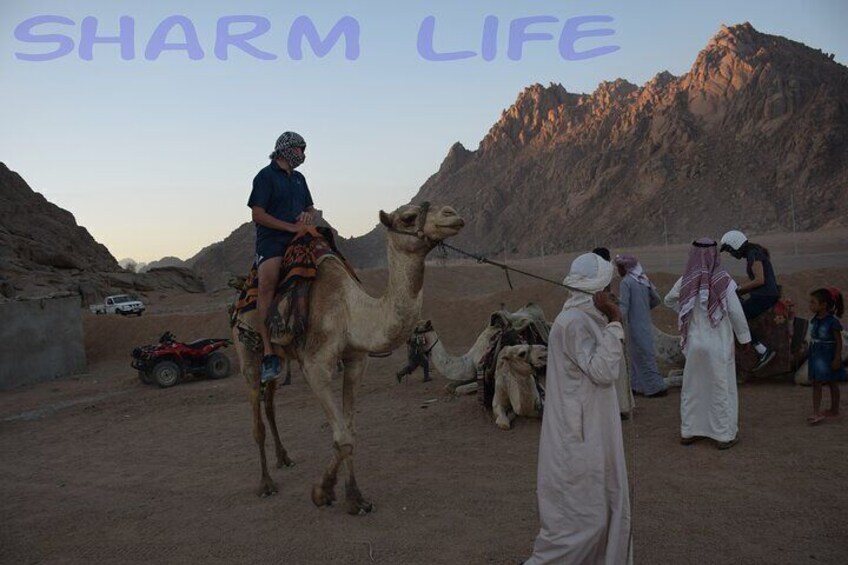 Camel ride in sharm el sheikh desert