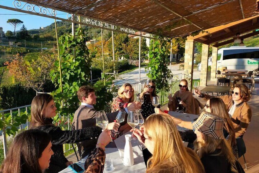 Light lunch and wine tasting on the hills of Lucca