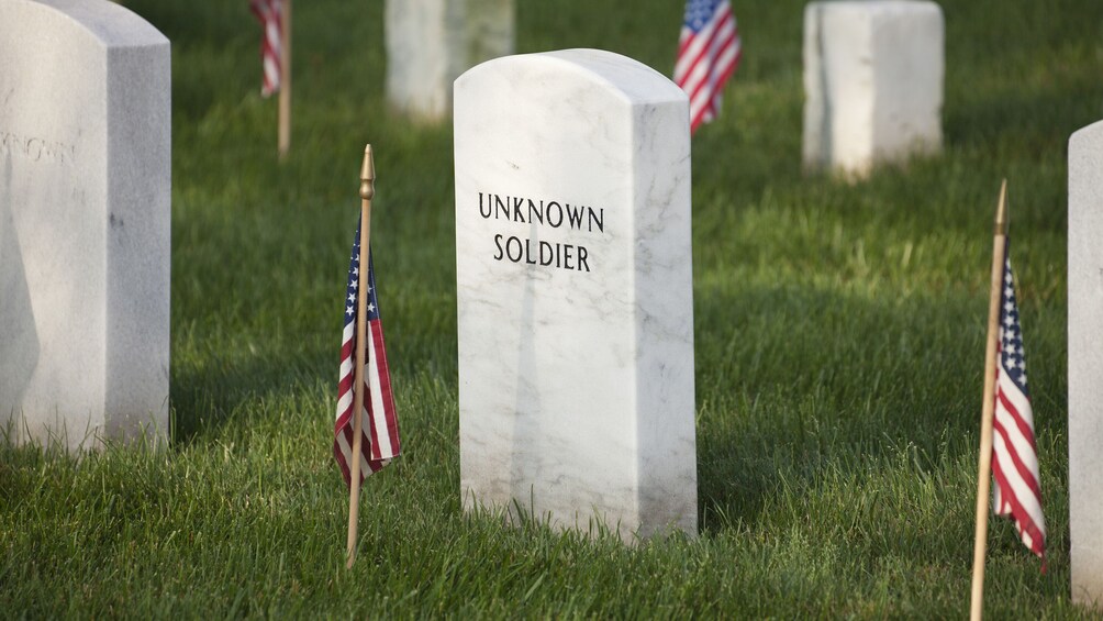 Arlington Cemetery Tour and DC Highlights Tour