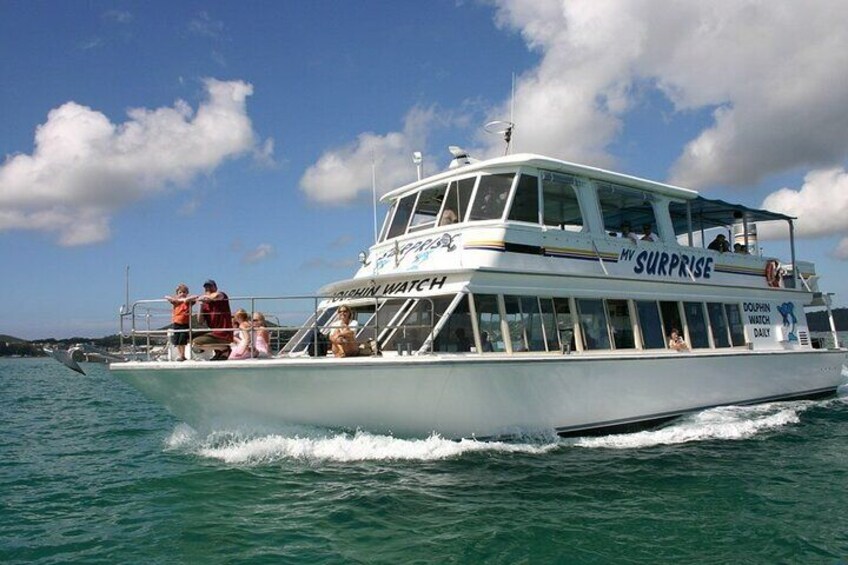 Dolphin watching cruise