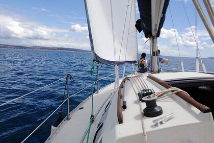 Halbtägige Segeltour im Archipel von Zadar