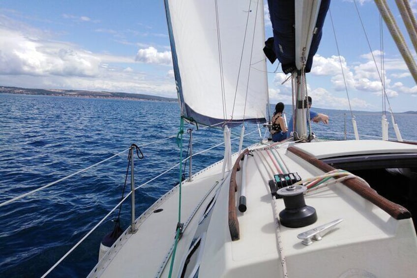 Half day Sailing Tour in Zadar Archipelago