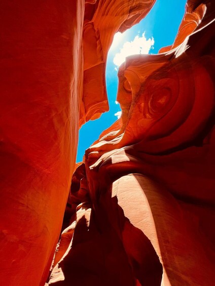 BEST Grand Canyon& Antelope Canyon& Horseshoe Bend 2-Day Tour from LV