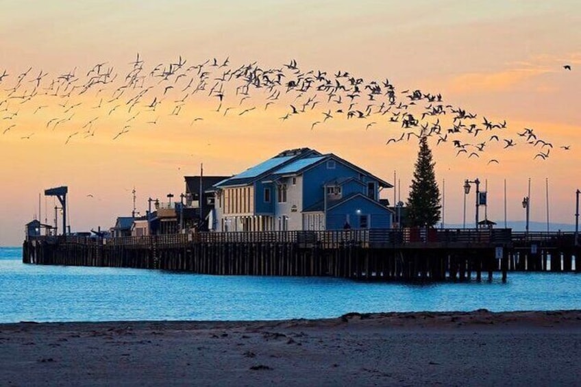 Stearns Wharf