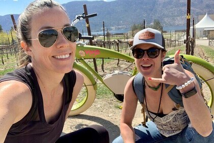 Full-Day E-Bike Wine Tour in Lake Country
