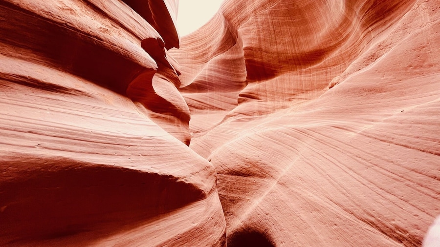 BEST Grand Canyon&Zion+Bryce Canyon&Antelope Canyon 3-day Tour from LV