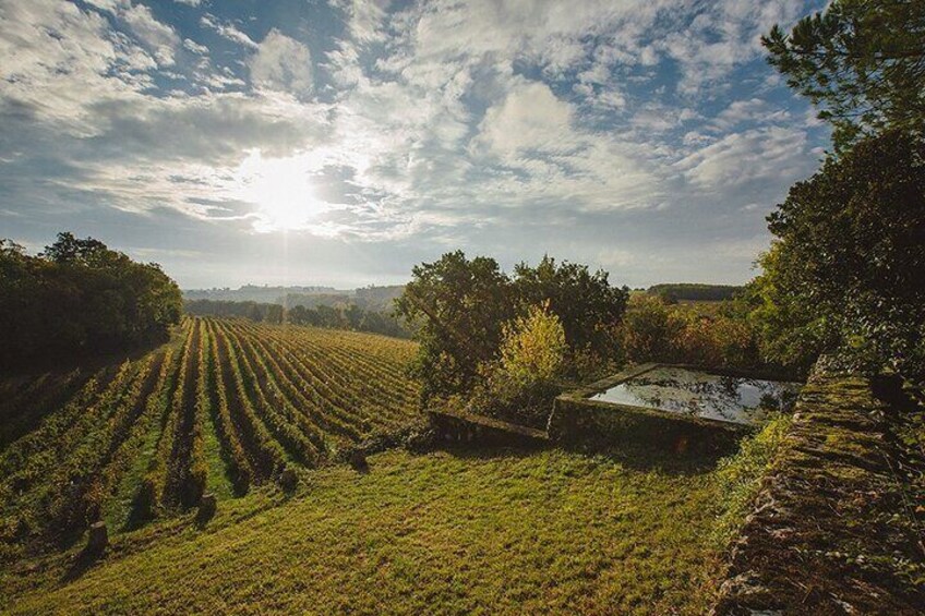 Visit and wine tasting: The Musketeers' wine