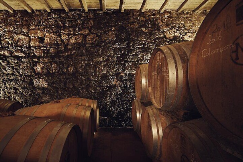 Visit and wine tasting: The Musketeers' wine